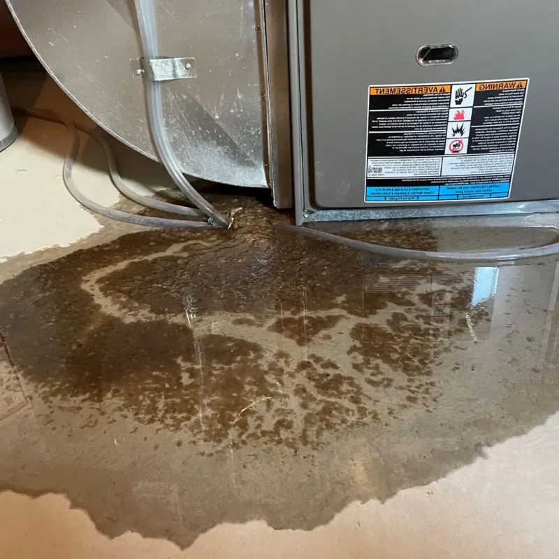 Pipe Burst and Leak Restoration in Osage County, OK